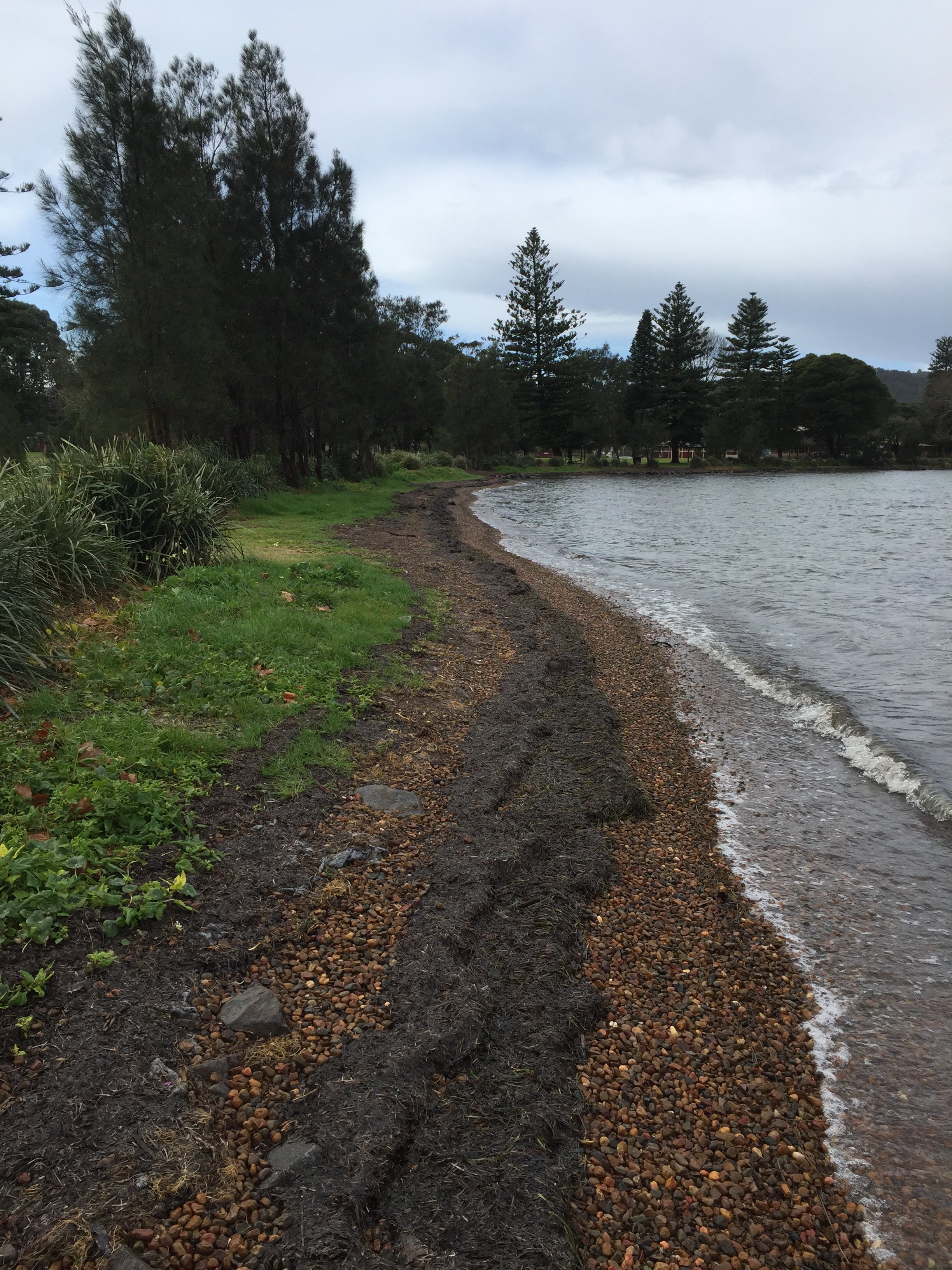 Lake Macquarie cobble