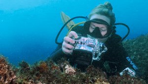 Citizen science in coastal environments