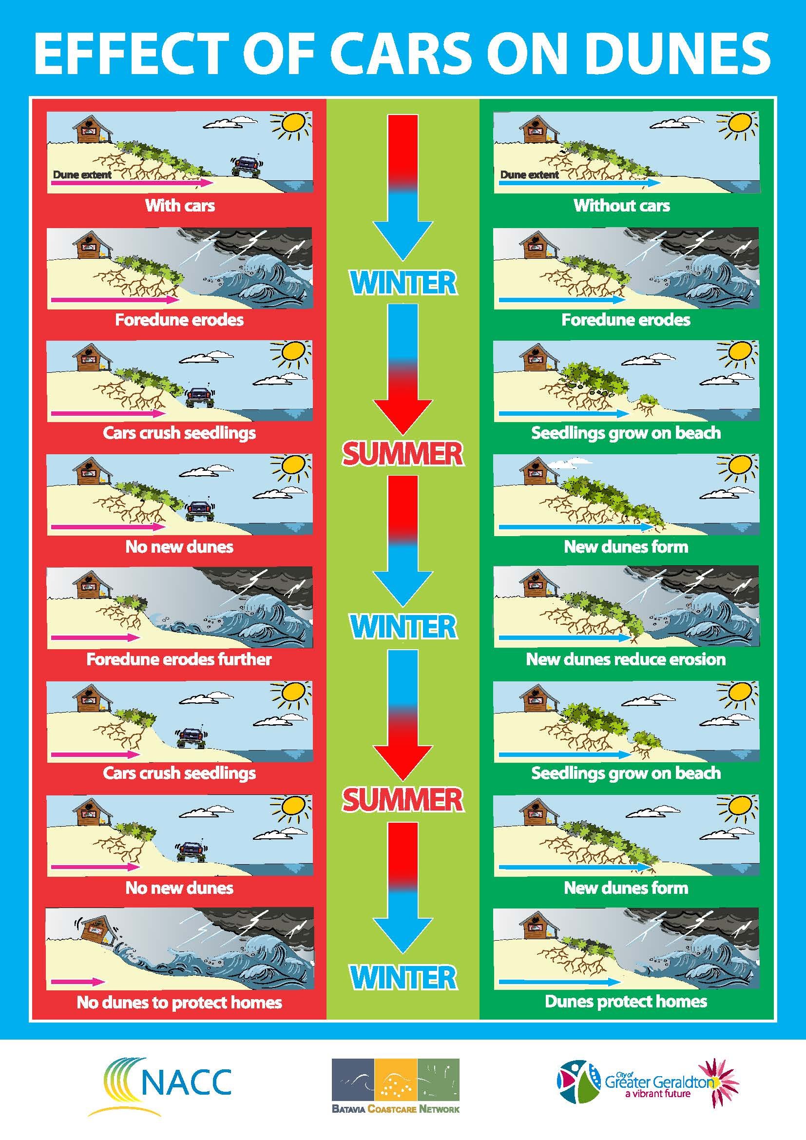 impacts of vehicles on beaches