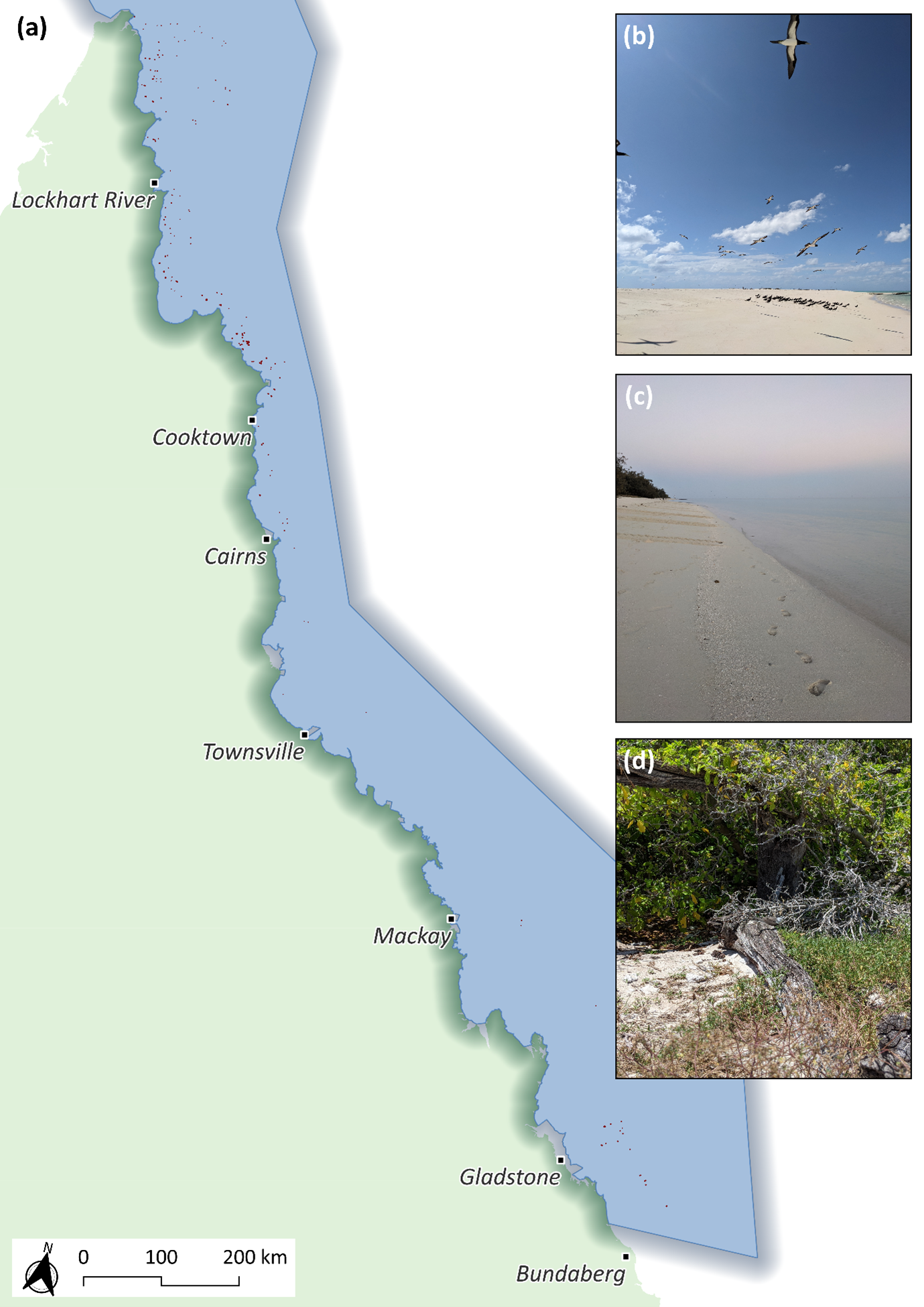 Cays_image 1