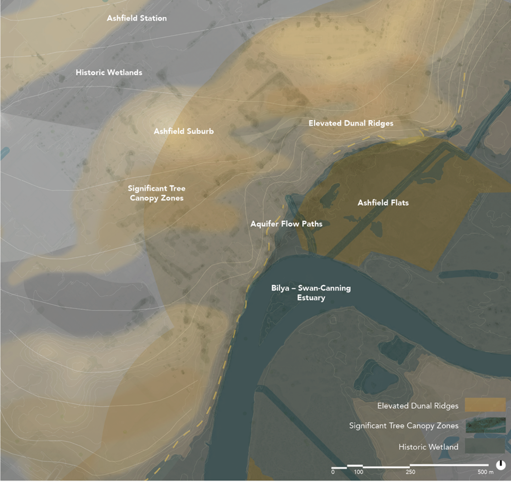 Place Value Ashfield precinct map