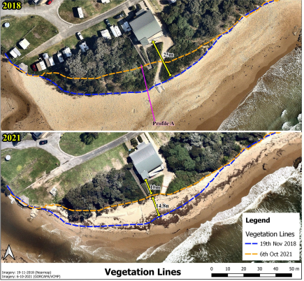 Figure 1. Vegetation lines 2018 and 2021