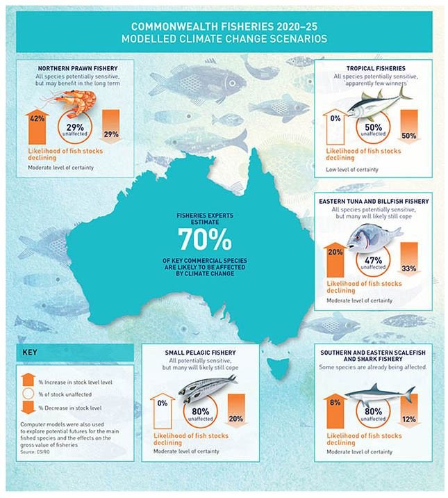 Fisheries infographic - Fiona James ARMA