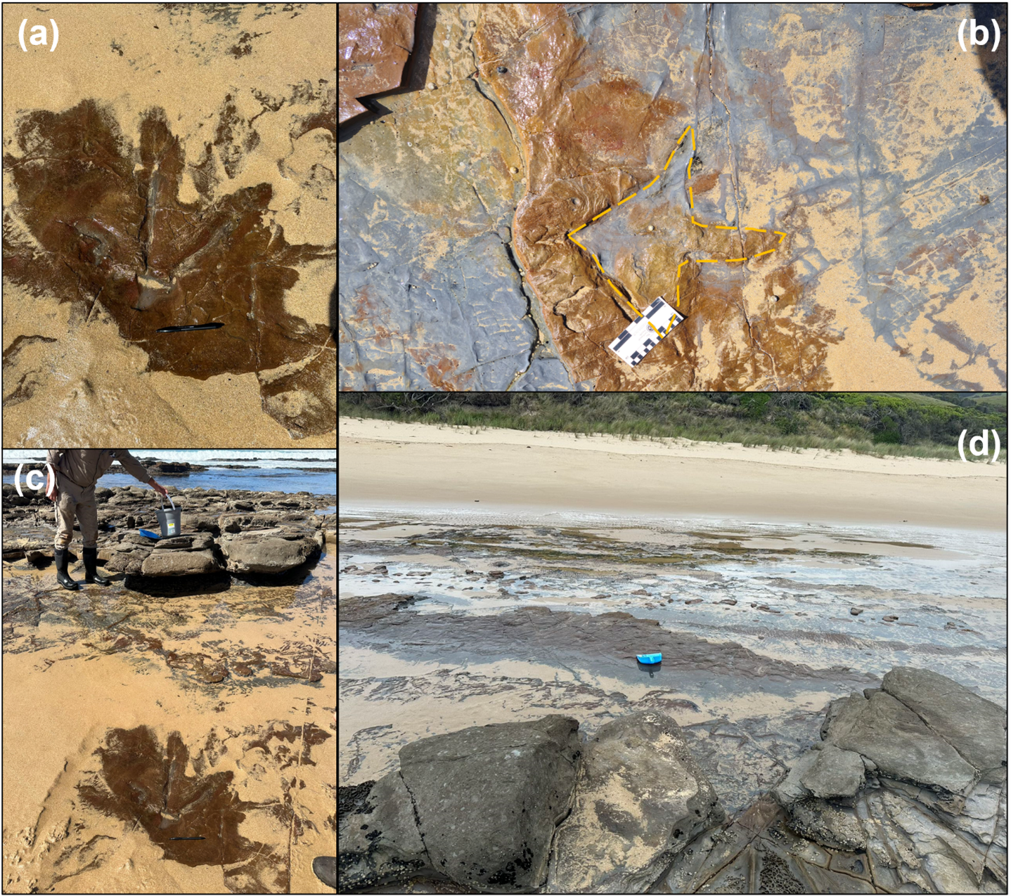 Footprints mould