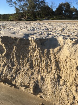 minimal action