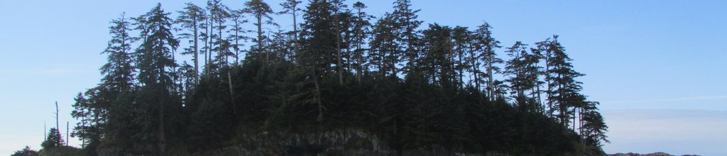Banner image for {{ page.title }}
