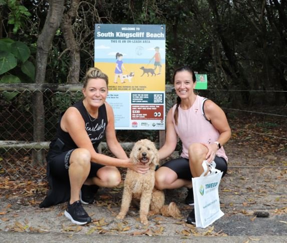 dogs on beaches