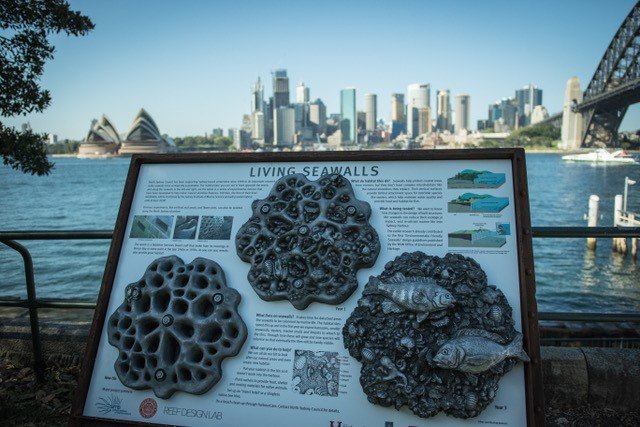 Living sea walls 1