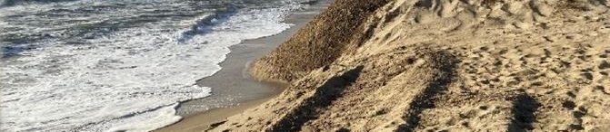 Banner image for {{ page.title }}