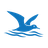 Skimmer