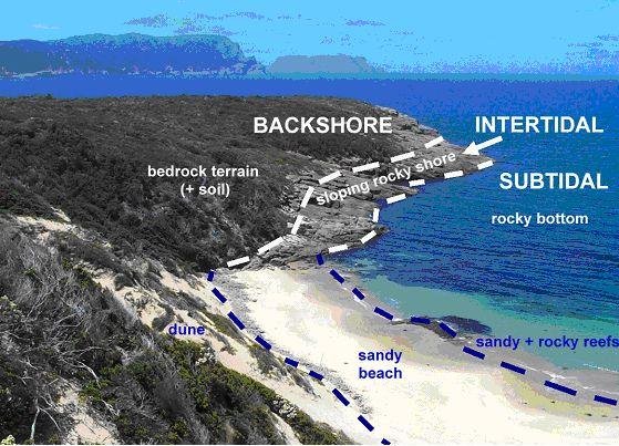 Smartline landforms