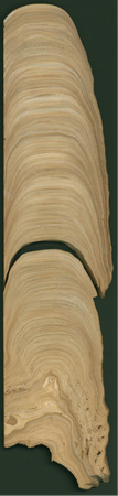 T1I3_Figure 5