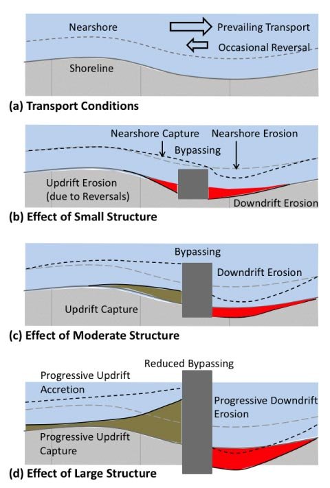 coastal dynamics
