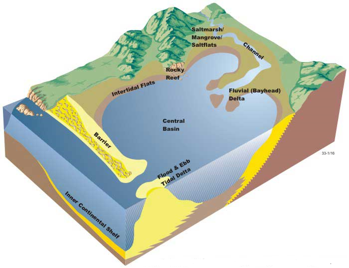 Impacts on sediments