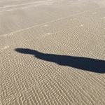 beach contemplation