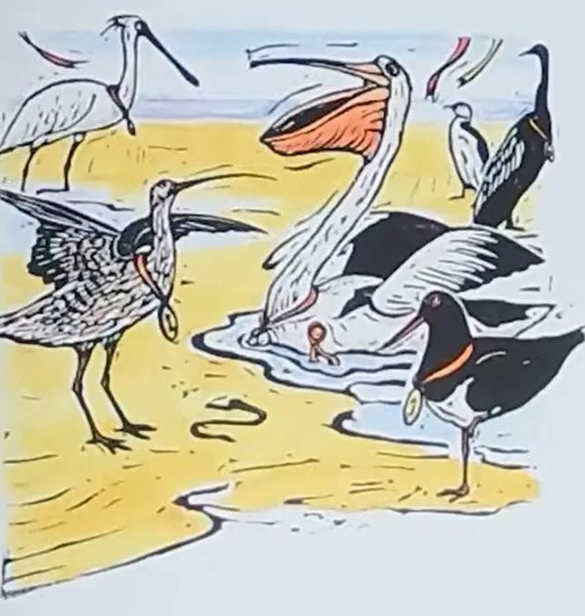 best beak in boonooroo Bay
