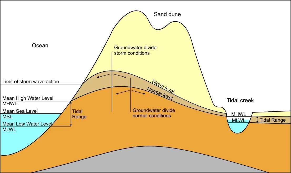 Coastal groundwater