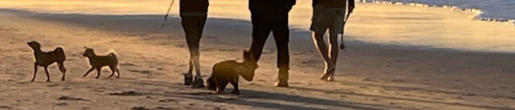 Banner image for {{ page.title }}
