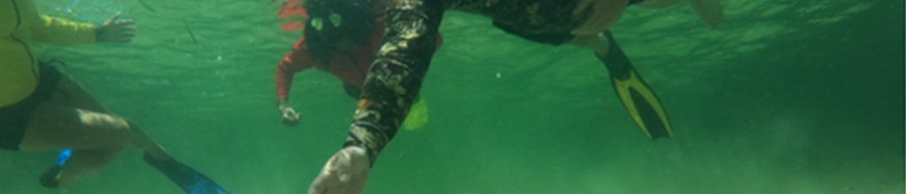 Banner image for {{ page.title }}