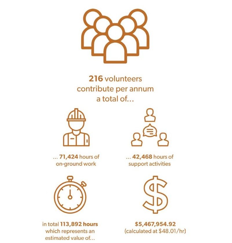 infographic