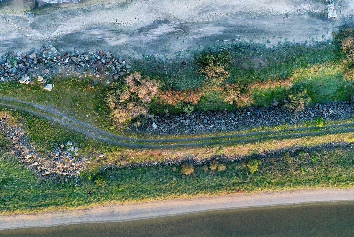 barriers to adaptation