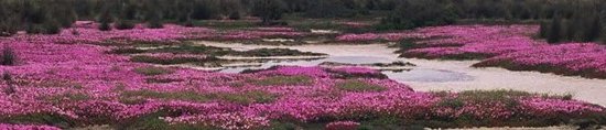 Banner image for {{ page.title }}