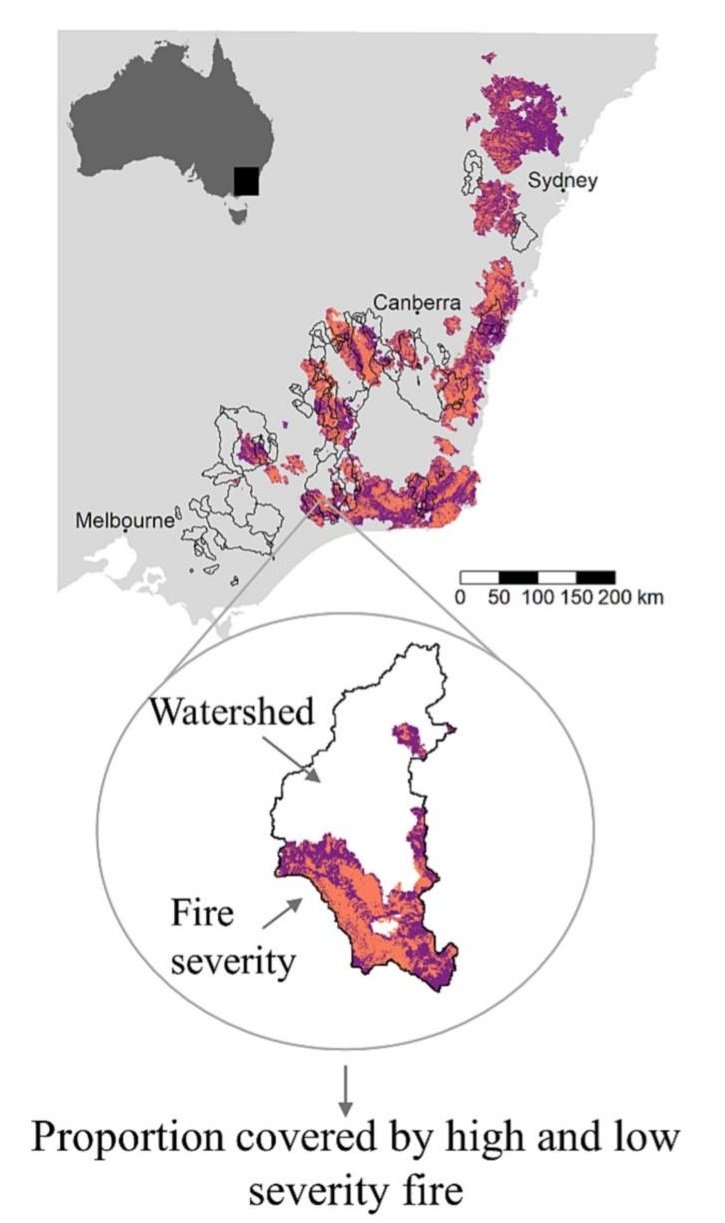 platypus map_covariate I