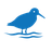 Wader