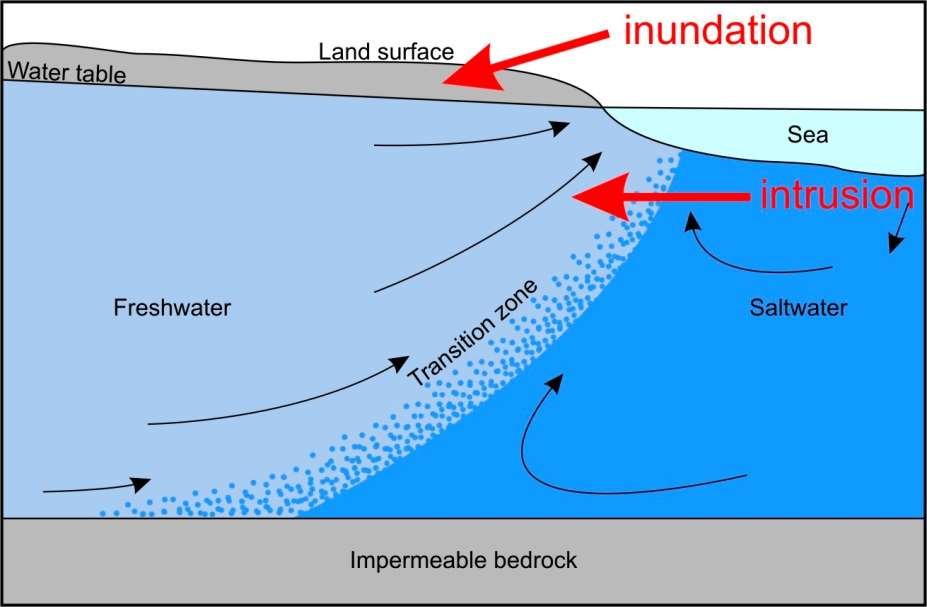saltwater interface