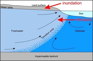 saltwater interface