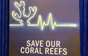 coral reef poster
