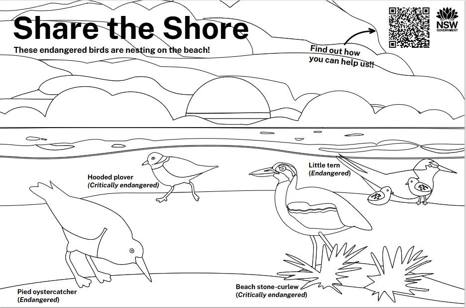 share the shore colouring-in activity