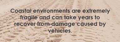 driving on beaches